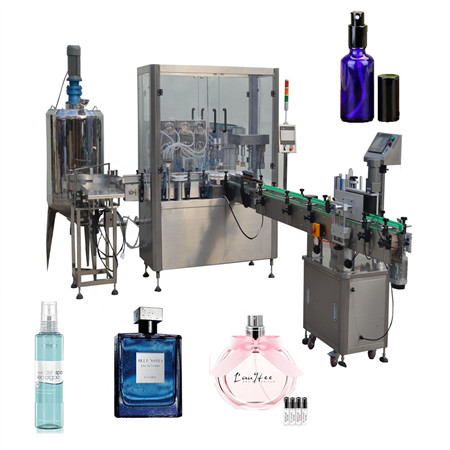 Piccola linea di produzione dell'acqua in bottiglia 4000BPH, macchina automatica dell'attrezzatura di imbottigliamento dell'acqua